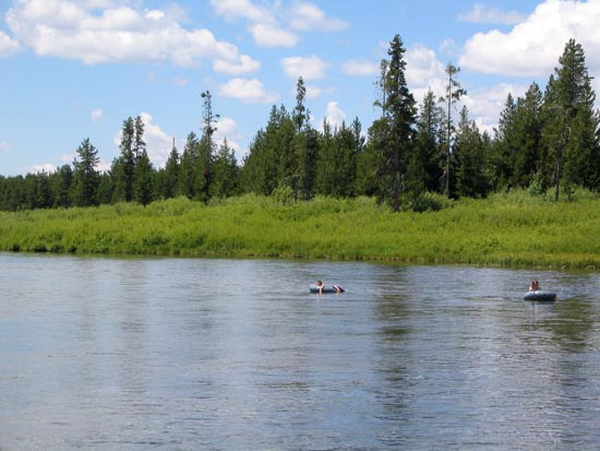 2006 family reunion in Yellowstone National Park